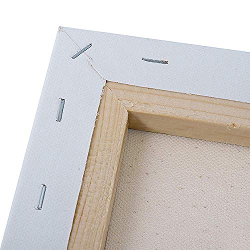 Arjazia Cuadro Islam Mosquita de Estambul – Cuadro árabe – 80 x 40 cm y 120 x 60 cm – Marrón – Impresión sobre lienzo de alta resolución – Lienzo tensado sobre un marco de madera (120 x 60 cm)
