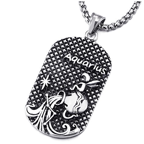 COOLSTEELANDBEYOND Vintage Horóscopo Zodiaco Signos Acuario Aquarius Perro Etiqueta Dog Tag Colgante Collar Acero Inoxidable, Cadena de Trigo 75CM, Doce Constelaciones, Hombre Mujer