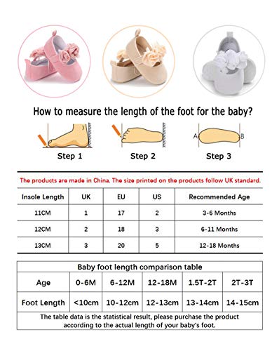 DEBAIJIA Bebé Niña Zapato de Fiesta Princesa con Cinta Mágica para 6-18 Meses Niños Recién Nacido Primeros Pasos Zapatos de Cuero Moda Casual Antideslizante Suave Suela Primavera Flor