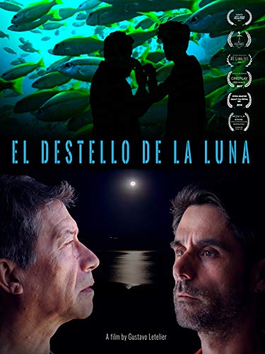 El Destello De La Luna