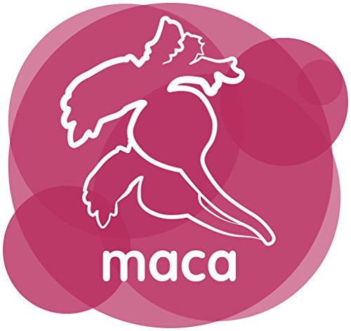 Energy Feelings Maca Andina Ecológica - 1 Kg | Adaptógena | Nutrición Deportiva | Aminoácidos