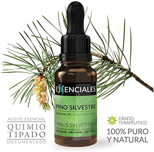 Essenciales - Aceite Esencial de Pino Silvestre, 100% Puro, 10 ml | Aceite Esencial Pinus Sylvestris