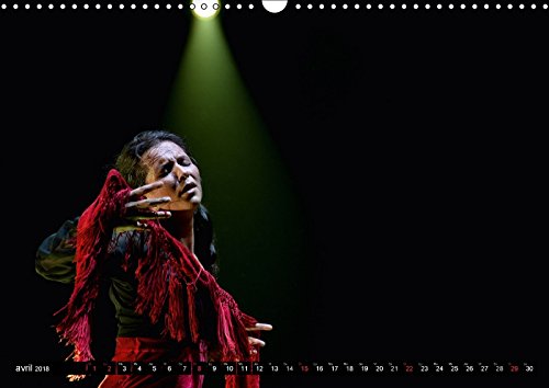 Fiesta Flamenco 2018: Spectacle Estival a Cannes; Le Flamenco Est a L'honneur (Calvendo Art)