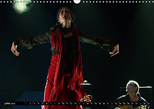 Fiesta Flamenco 2018: Spectacle Estival a Cannes; Le Flamenco Est a L'honneur (Calvendo Art)