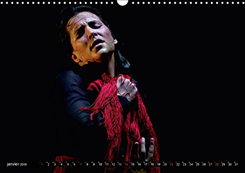 Fiesta Flamenco 2018: Spectacle Estival a Cannes; Le Flamenco Est a L'honneur (Calvendo Art)