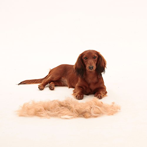 Herramienta de muda para perros pequeños de pelo largo S
