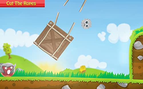 Historias de rebote