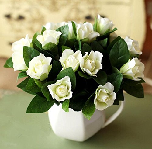 Las semillas de gardenia blanca Jasminoides Cabo Jazmín fragante flor, paquete original, 20 semillas / Paquete, Bonsai de interior Danh-danh