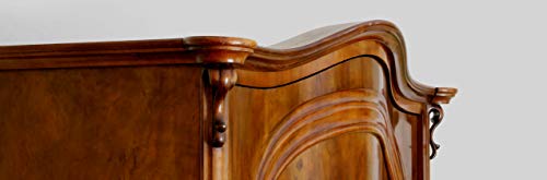 LASUR PROTECTOR SATINADO EXTERIOR Protege la madera,Baniz lasur satinado decora y embellece todo tipo de madera (750 ml, INCOLORO)