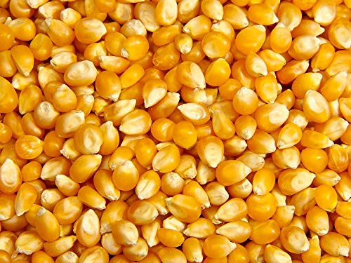 Maiz Palomitas 3 kg