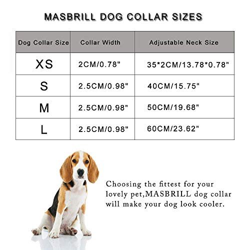 MASBRILL Collar LED Perro, Collar para Perro Luminoso Recargable y Impermeable, 3 Modos de Iluminación led y Tamaño Ajustable para Perros Pequeños Medianos Grandes(Verde L)
