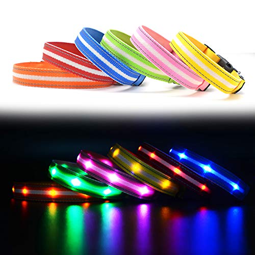 MASBRILL Collar LED Perro, Collar para Perro Luminoso Recargable y Impermeable, 3 Modos de Iluminación led y Tamaño Ajustable para Perros Pequeños Medianos Grandes(Verde L)