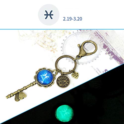 Milisten 2 Piezas Constelación Llaveros Cumpleaños Mes Llaveros Nacimiento Signo del Zodiaco Llavero Colgantes Tiempo Gema Llaveros para Regalos de Amigos de La Familia (Piscis)