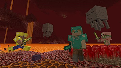 Minecraft - Nintendo Switch [Importación inglesa]