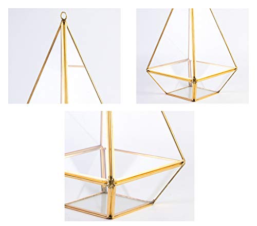 MINGZE para Colgar Cristal terrario, diseño de pirámide Interior Superficie Caja Claro Abierto Helechos y Musgo Plantas carnosas Maceta (Dorado El Cobre)