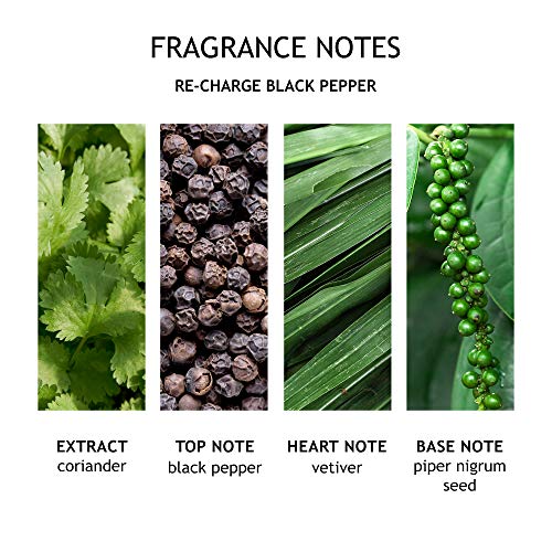 Molton marrón negro Peppercorn tres mecha vela 480 G
