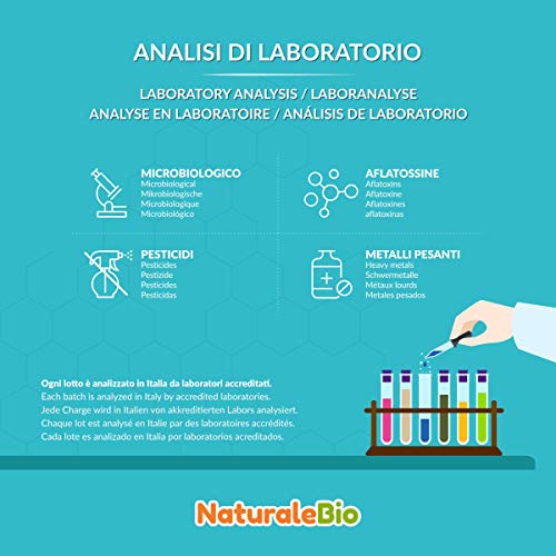 Moringa Oleifera Ecológica en Polvo [Calidad Premium] de 400g. Moringa Powder Organica, 100% Bio, Natural y Pura. Hojas Recogidas de la Planta de Moringa Oleífera. NaturaleBio