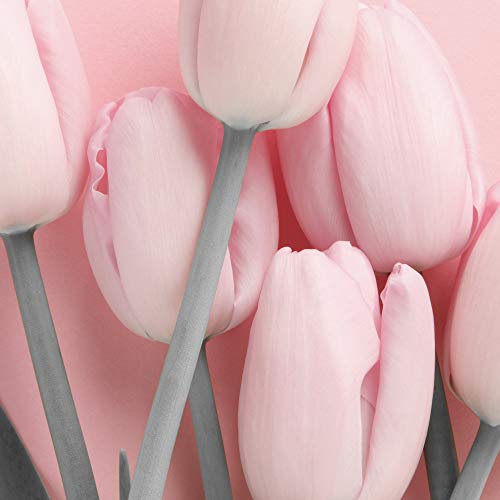 murando Poster Conjunto de 5 Carteles Colección de Posters Cuadro Impresos Póster con Motivos Artísticos Galería de Pared Serie de Carteles Modernos Tulipanes Coco Mujer Home Paisaje Rosa Blanco