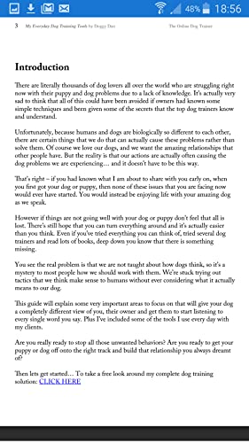 My Everyday Dog Training Tools