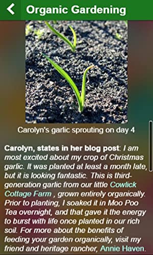 Organic Gardening