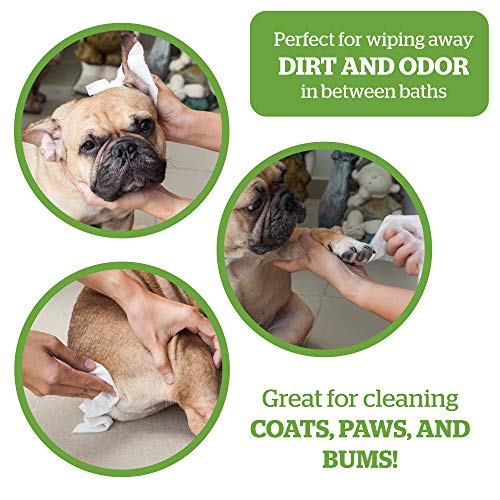 Pogi's Grooming Wipes - Toallitas húmedas - 400 toallitas desodorantes para Perros - No perfumadas, Naturales, Extra Grandes, biodegradables