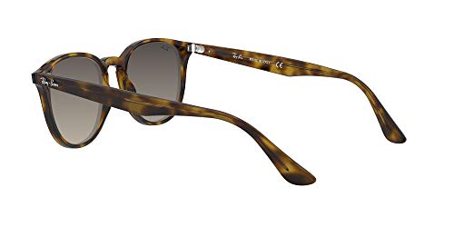 Ray-Ban 4259 Gafas de sol, Havana, 51 Unisex-Adulto