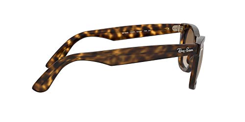 Ray-Ban 4340 Gafas de sol, Havana, 50 Unisex-Adulto