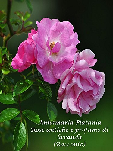 Rose antiche e profumo di lavanda (Italian Edition)