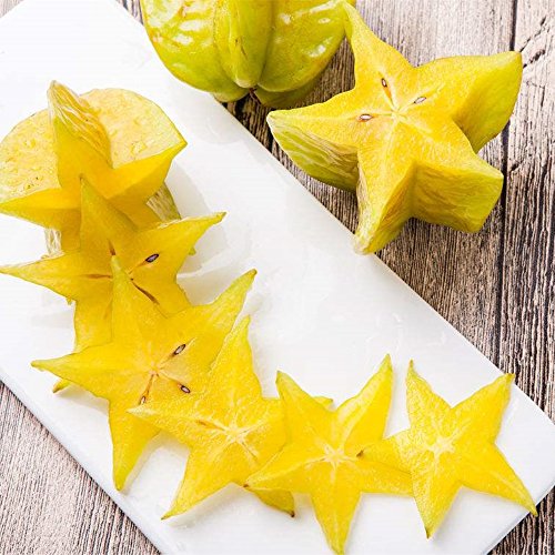 Semillas Semillas Semillas 20pcs carambola carambola fruta jardín Averrhoa carambola L jardín de plantas en maceta de Bonsai