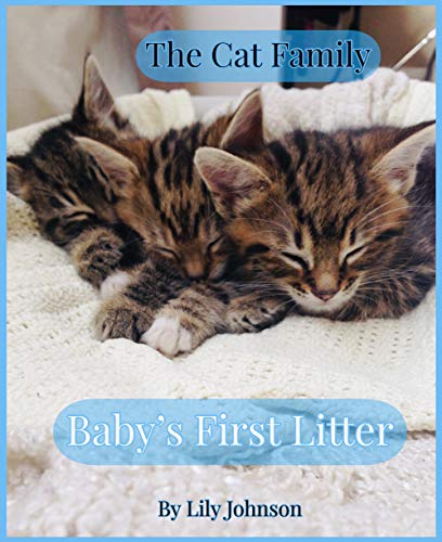 The Cat Family Picture Book: Baby’s First Litter - Super Adorable Cute Kittens (Our Family Of Cats Book 1) (English Edition)