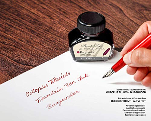Tinta de pluma estilográfica en tinta de vidrio, Tinta para pluma estilográfica, Tinta estilográfica en Borgoña 30ml tintero, Tinta para caligrafía