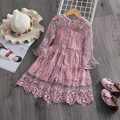 TTYAOVO Vestido de Fiesta de Princesa de Encaje para Niñas Vestido de Novia de Niña de Las Flores Tamaño(100) 2-3 Años 08 Rosa
