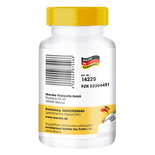 Vitamina B Complex – Vegetariano – Con todas las vitaminas B esenciales – 250 cápsulas