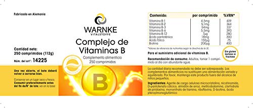 Vitamina B Complex – Vegetariano – Con todas las vitaminas B esenciales – 250 cápsulas
