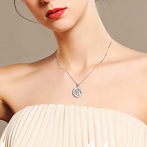 YL Silver Aquarius Necklace 925 Silver Horoscope Zodiac 12 Constellation Collar colgante para mujeres y niñas