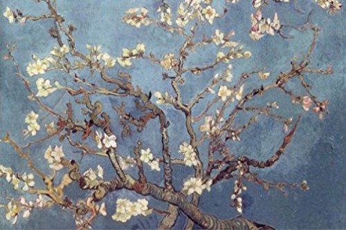 1art1 Vincent Van Gogh - Almendro En Flor, 1890 Cuadro, Lienzo Montado sobre Bastidor (120 x 80cm)
