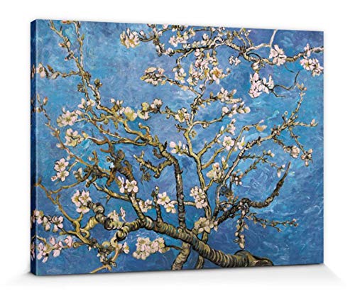 1art1 Vincent Van Gogh - Almendro En Flor, 1890 Cuadro, Lienzo Montado sobre Bastidor (80 x 60cm)