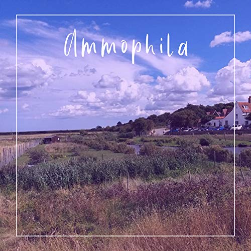Ammophila