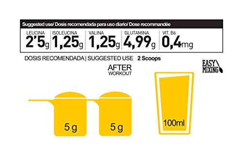 BCAA´S + GLUTAMINA 500 GR Sandia - Aminoácidos de Cadena Ramificada + Glutamina