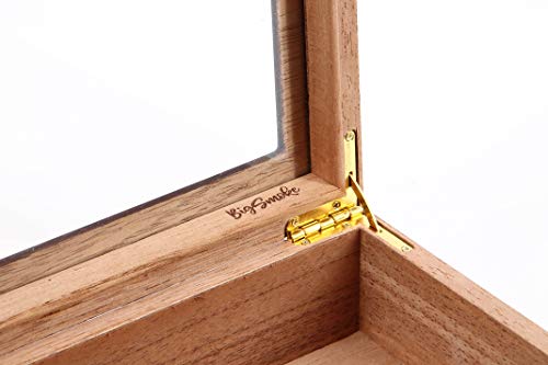 BigSmoke Humidor de Puros - Caja de Madera con Exterior de Cedro, Humidificador e Higrómetro Magnético de Latón - Caja Hermética con Tapa de Vidrio, Divisor y Bisagras - 30 Puros - Negro