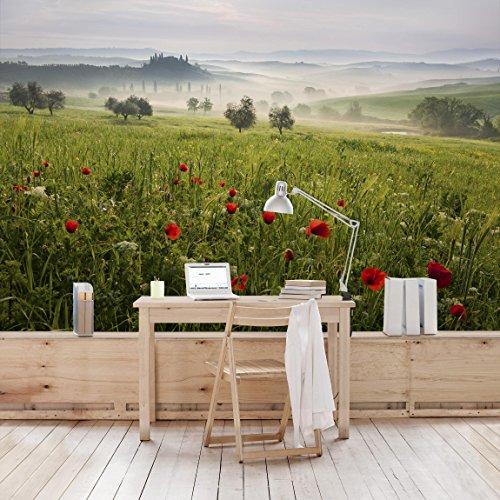 Bilderwelten Fotomural - Primavera Toscana - Mural apaisado papel pintado fotomurales murales pared papel para pared foto 3D mural pared barato decorativo, Tamaño: 290cm x 432cm