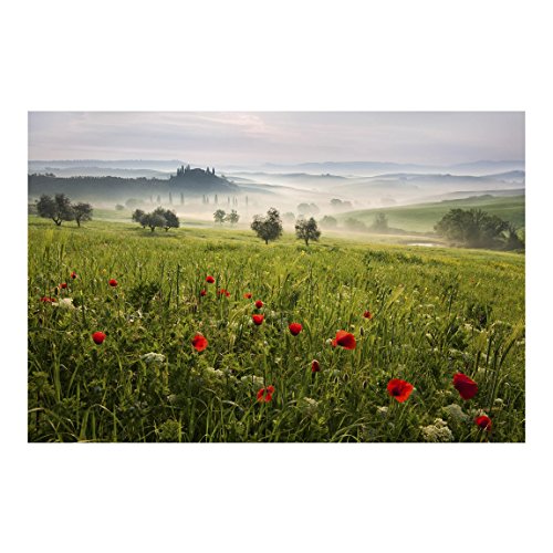 Bilderwelten Fotomural - Primavera Toscana - Mural apaisado papel pintado fotomurales murales pared papel para pared foto 3D mural pared barato decorativo, Tamaño: 290cm x 432cm