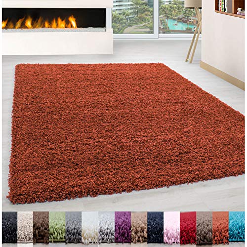 Carpet 1001 Pelo Largo Peluda Shaggy Sala de Estar Alfombra de Diferentes Tamaños y Colores - Terracota, 300x400 cm