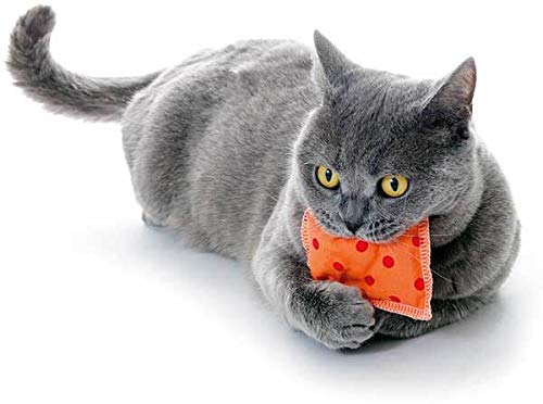 Cojín de juguete para gatos, 4 unidades