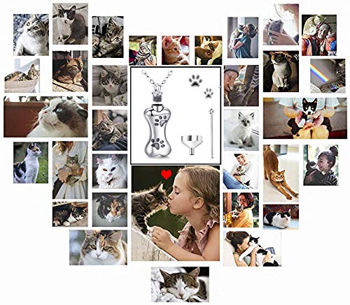 Collar de cremación para cenizas, collares de urna de plata para mascota, perro, joyería conmemorativa, encanto para siempre en mi corazón, colgante de medallón de ceniza con kit de relleno