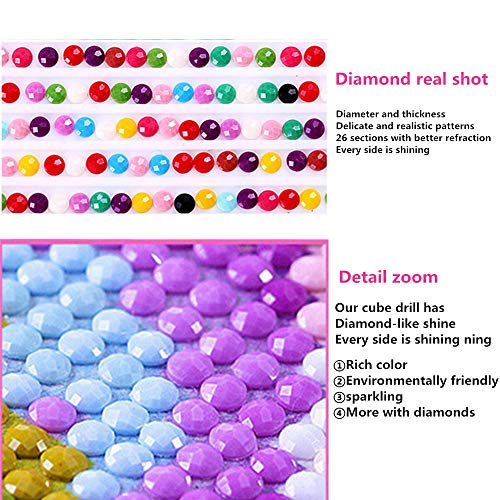 DIY Pittura Diamante Kit,Painting by Numbers Diamond Painting Kit Completo Nobile Donna 5d Fai da Te Ricamo Punto Croce Decorazione d'Arte V4419M 40x55cm