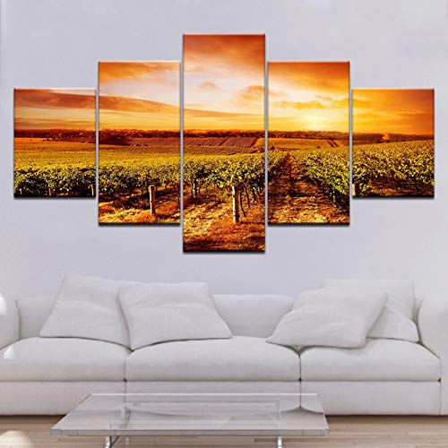 GHTAWXJ Sunset Hills Vineyards Landscape 5 Panels HD Print Wall Art Modern Poster Art Canvas Painting for Living Room Home Decor