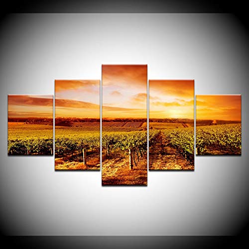 GHTAWXJ Sunset Hills Vineyards Landscape 5 Panels HD Print Wall Art Modern Poster Art Canvas Painting for Living Room Home Decor