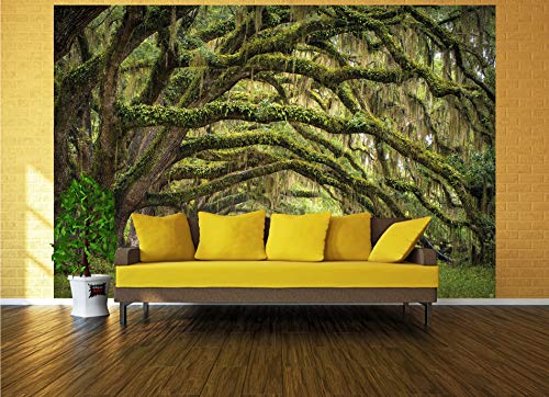 GREAT ART Mural De Pared – Avenida De Roble – Bosque Naturaleza Paisaje Verano Bosque Musgo Misticismo Quercus Cuento De Hadas Bosque Parque Ramas Foto Tapiz Y Decoración (336 x 238 cm)