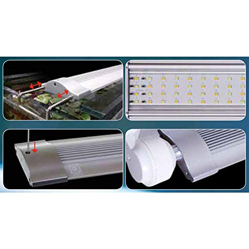 JBL Led Solar Natur 1149/1200 Mm 200 g